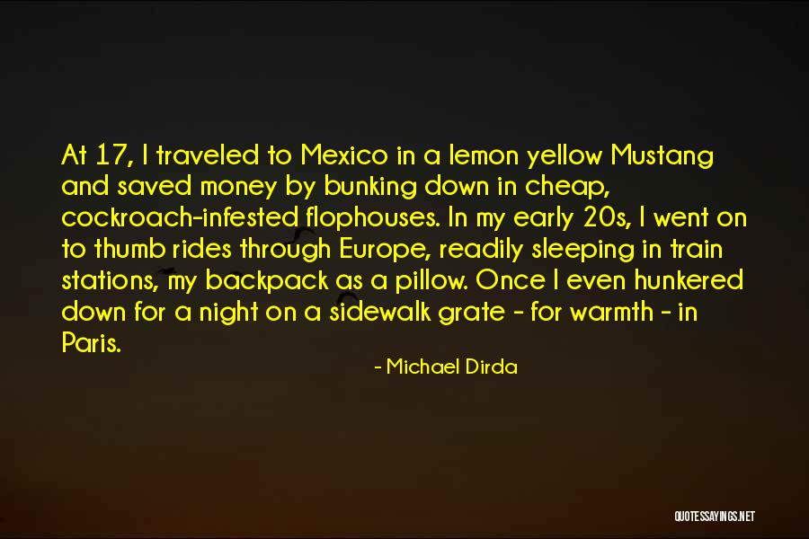 Solooki Dds Quotes By Michael Dirda