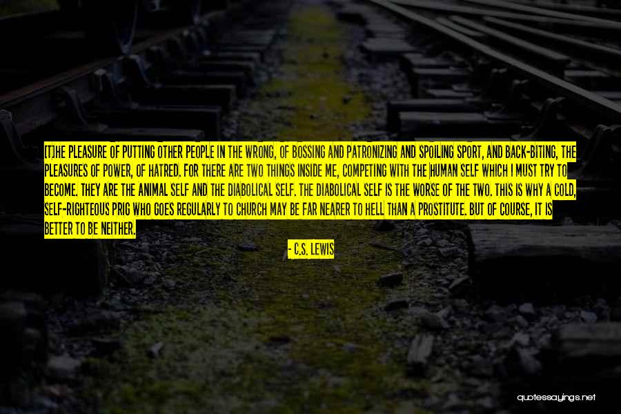Soltz Paints Quotes By C.S. Lewis Soltz Paints Quotes By C.S. Lewis