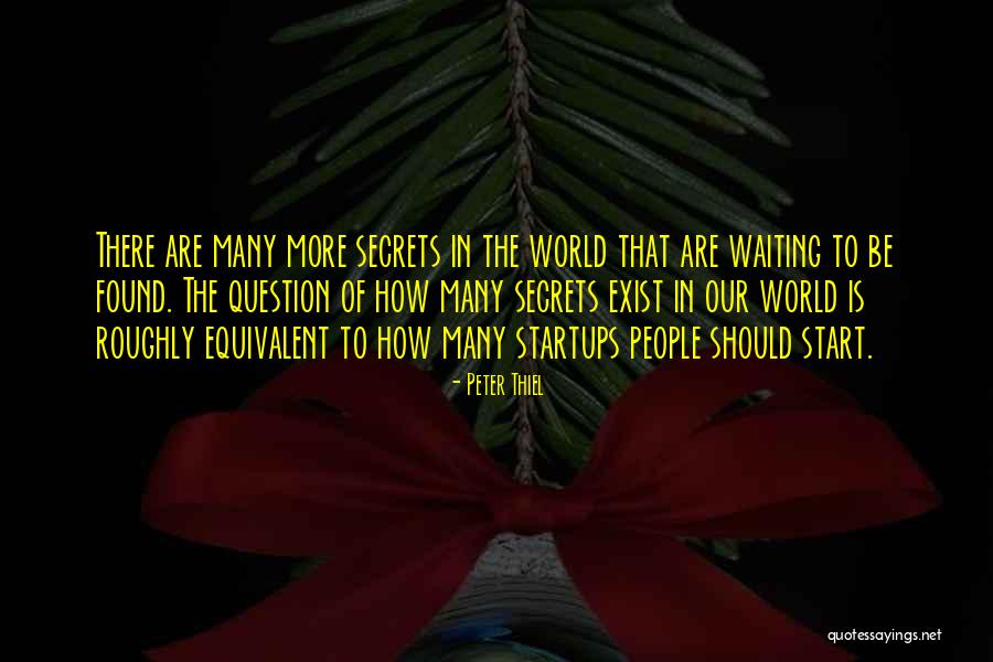 Soluk Borusu Quotes By Peter Thiel Soluk Borusu Quotes By Peter Thiel