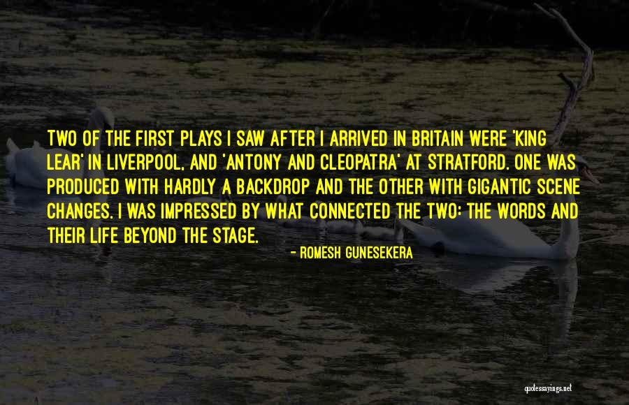 Soluk Borusu Quotes By Romesh Gunesekera Soluk Borusu Quotes By Romesh Gunesekera