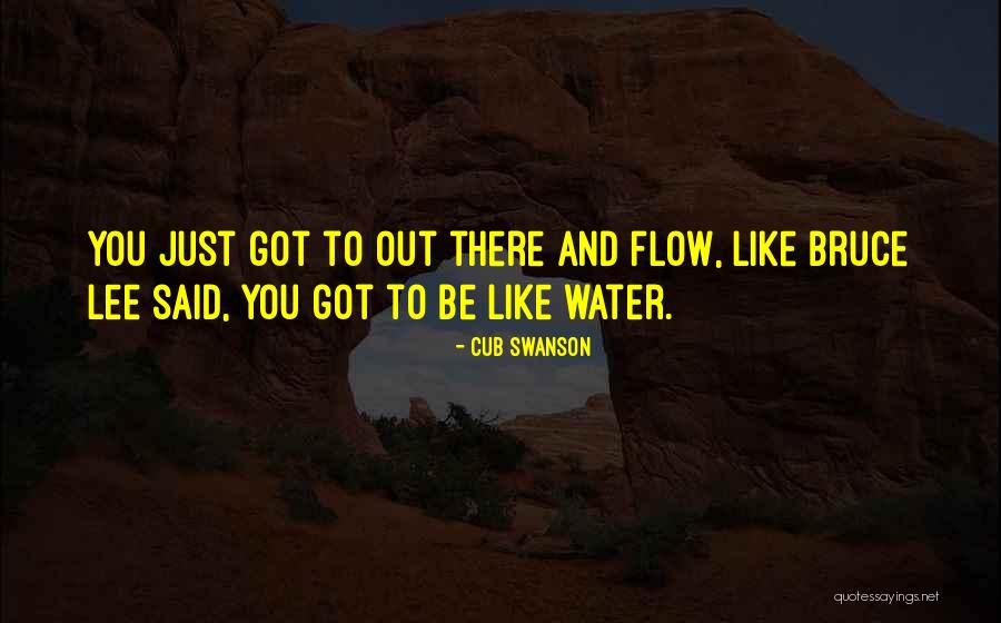 Solupak Quotes By Cub Swanson