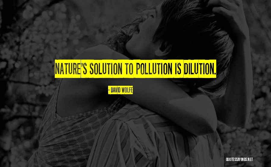 Solution To Pollution Quotes By David Wolfe