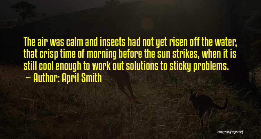 Solutions And Problems Quotes By April Smith