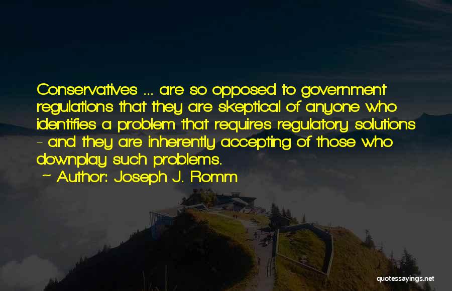 Solutions And Problems Quotes By Joseph J. Romm