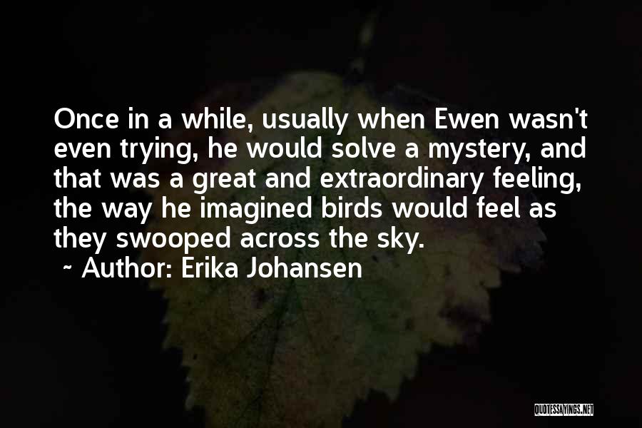 Solve A Mystery Quotes By Erika Johansen