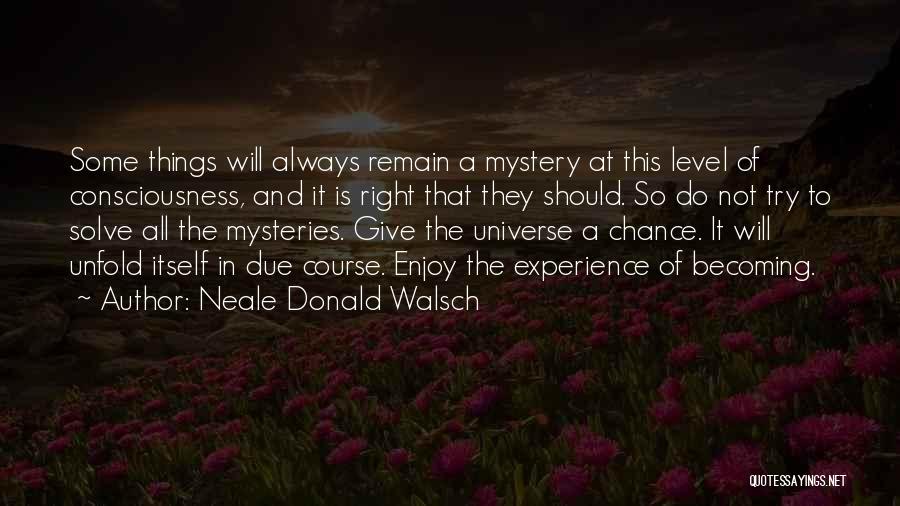 Solve A Mystery Quotes By Neale Donald Walsch