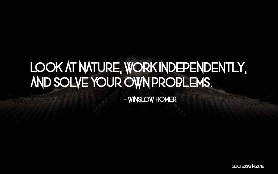 Solve Your Own Problem Quotes By Winslow Homer