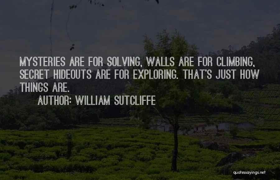 Solving Mysteries Quotes By William Sutcliffe
