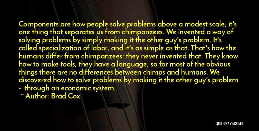 Solving Problems Quotes By Brad Cox