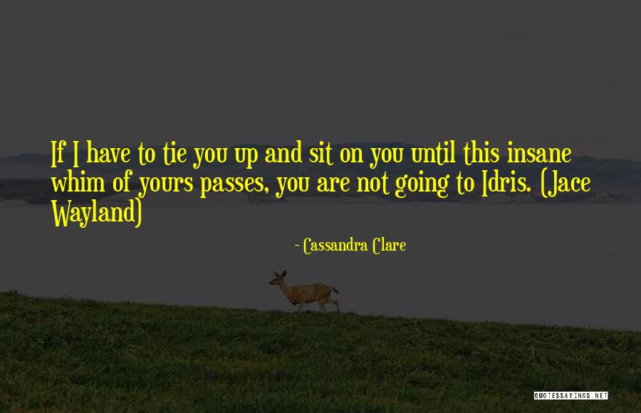 Solymar Mykonos Quotes By Cassandra Clare Solymar Mykonos Quotes By Cassandra Clare