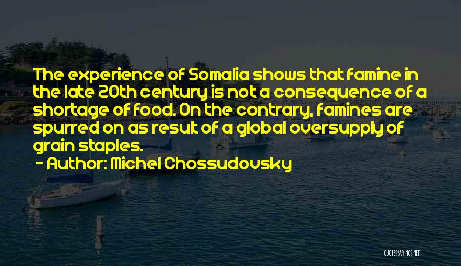 Somalia Quotes By Michel Chossudovsky