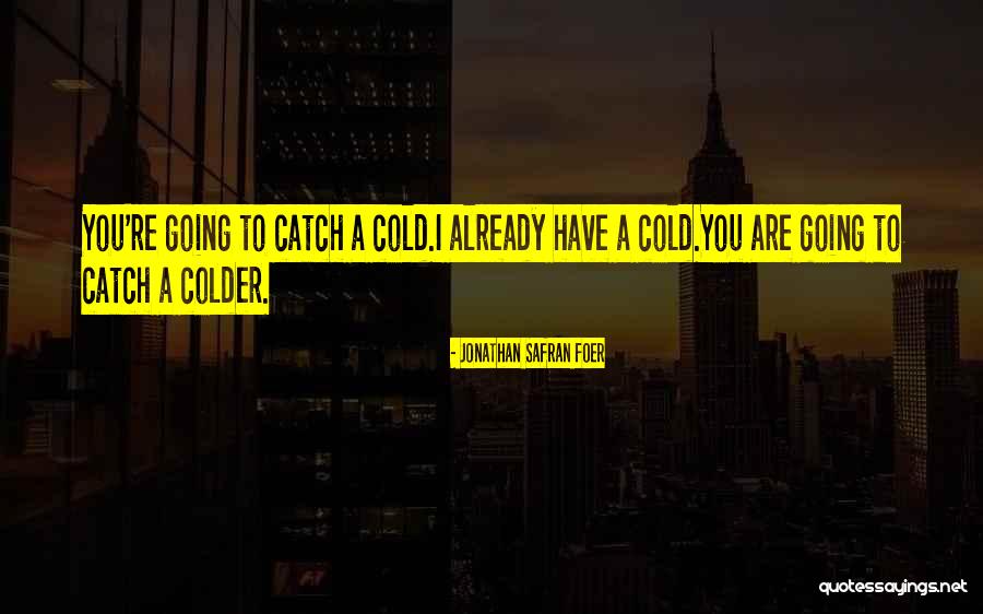 Somayeh Malekian Quotes By Jonathan Safran Foer Somayeh Malekian Quotes By Jonathan Safran Foer
