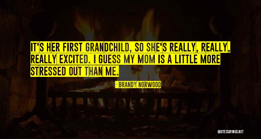 Somayeh Nikooei Quotes By Brandy Norwood Somayeh Nikooei Quotes By Brandy Norwood