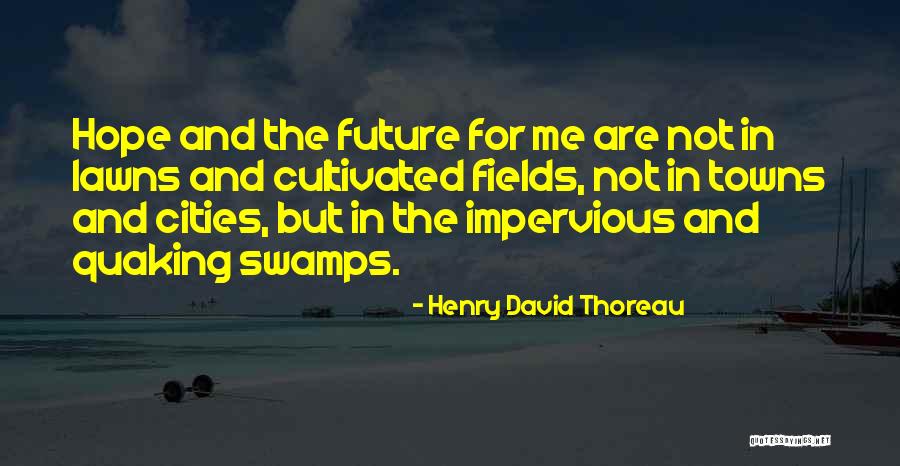 Sombrero Stables Quotes By Henry David Thoreau Sombrero Stables Quotes By Henry David Thoreau