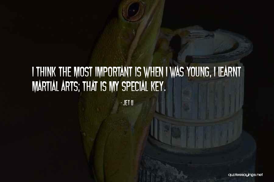 Sombreuil Antique Quotes By Jet Li