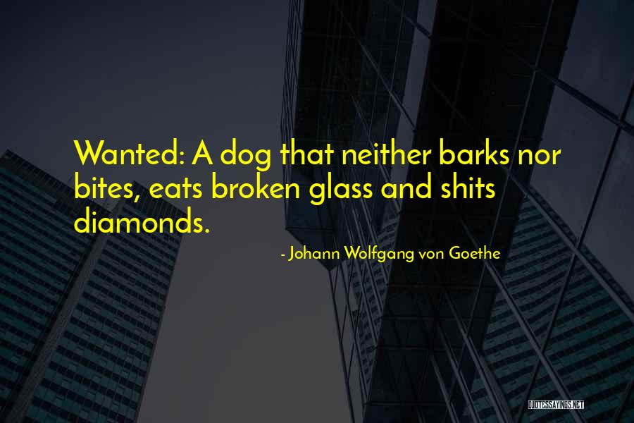 Somchay Noy Quotes By Johann Wolfgang Von Goethe Somchay Noy Quotes By Johann Wolfgang Von Goethe
