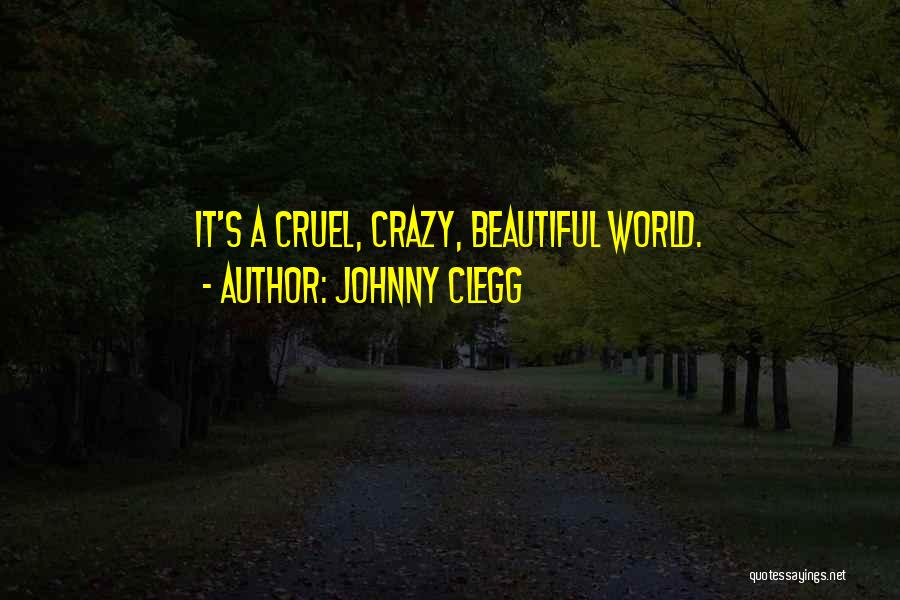 Some Crazy Beautiful Quotes By Johnny Clegg
