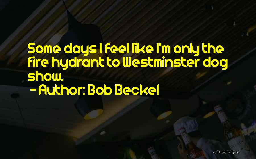 Some Days I Feel Like Quotes By Bob Beckel