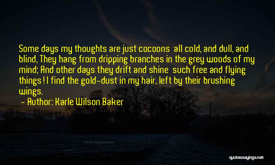 Some Days Left Quotes By Karle Wilson Baker