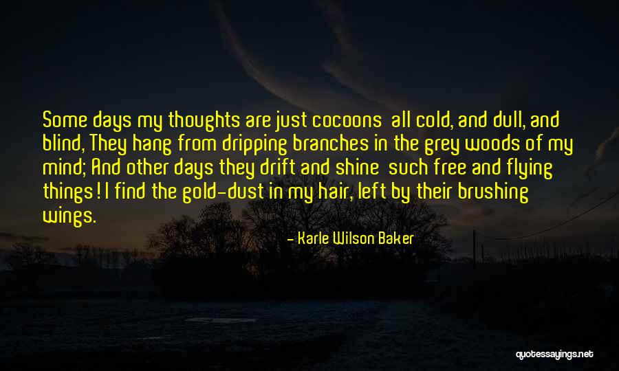 Some Days Left Quotes By Karle Wilson Baker