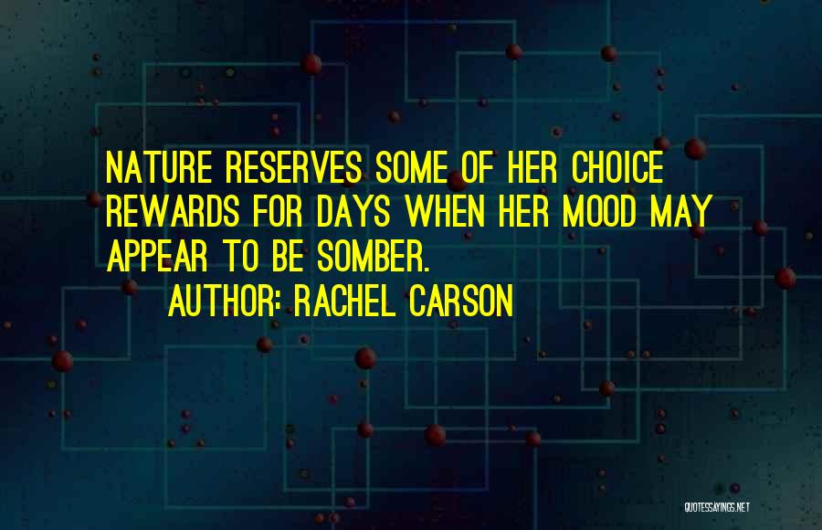 Some Days Quotes By Rachel Carson