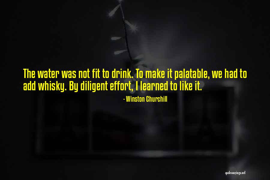 Some Diligent Quotes By Winston Churchill Some Diligent Quotes By Winston Churchill