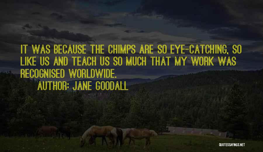 Some Eye Catching Quotes By Jane Goodall