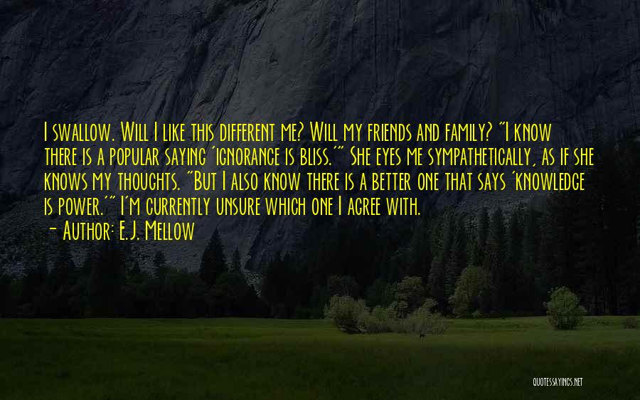 Some Friends Are Better Than Family Quotes By E.J. Mellow