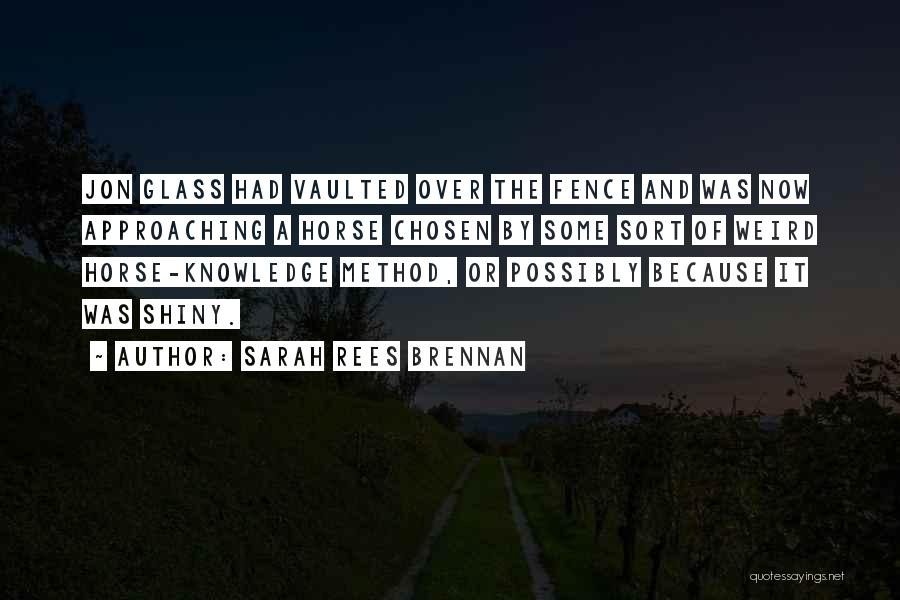 Some Funny Quotes By Sarah Rees Brennan