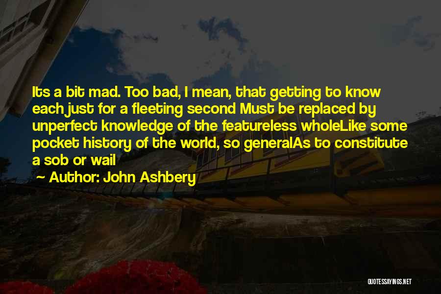 Some General Knowledge Quotes By John Ashbery