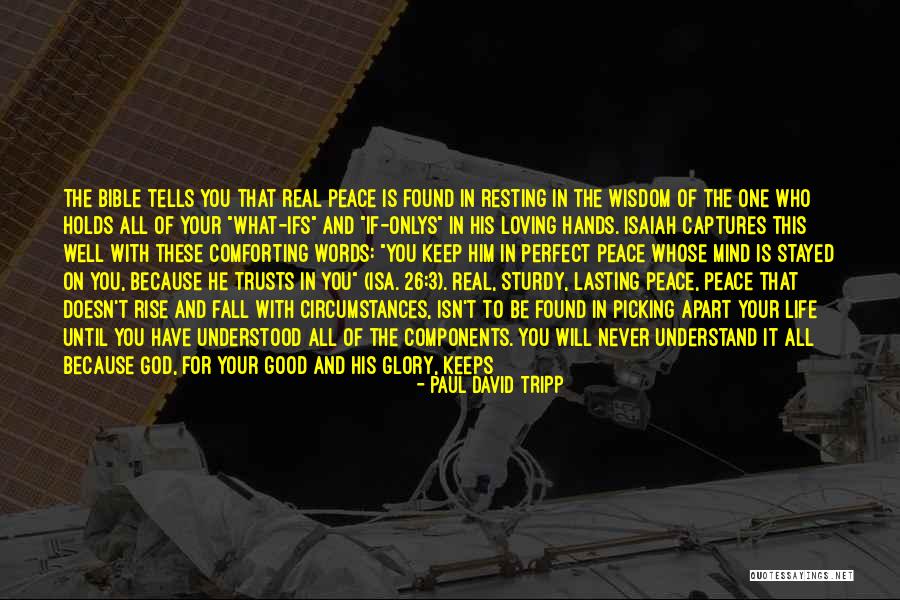 Some Good Loving Quotes By Paul David Tripp Some Good Loving Quotes By Paul David Tripp