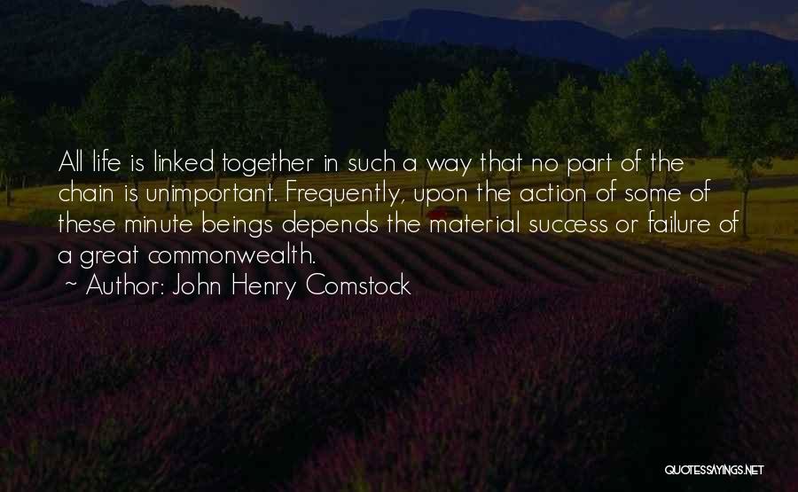 Some Great Success Quotes By John Henry Comstock