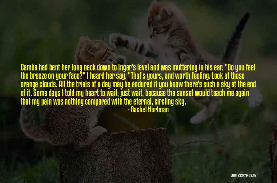 Some Heart Pain Quotes By Rachel Hartman