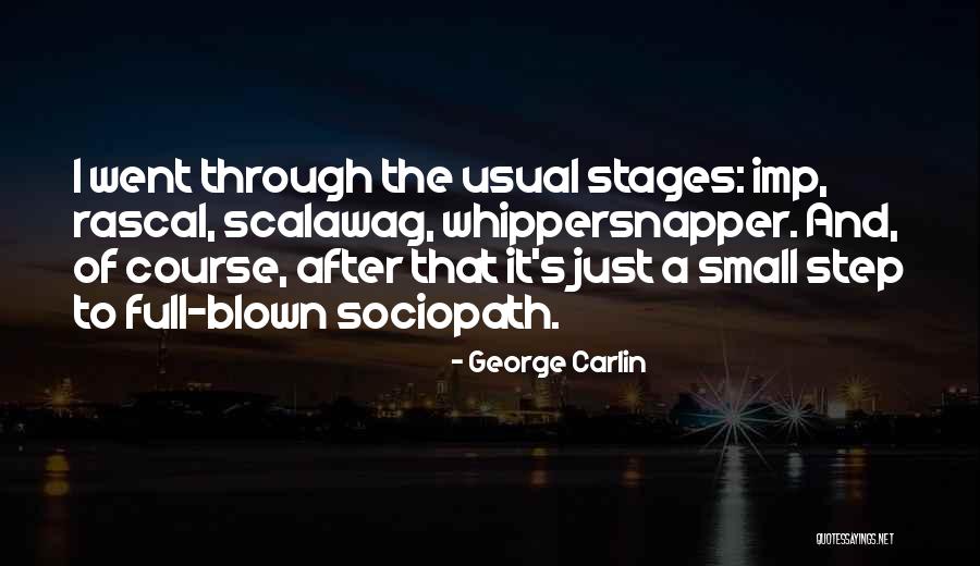 Some Imp Quotes By George Carlin