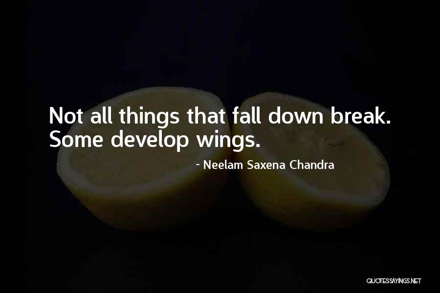 Some Inspirational Quotes By Neelam Saxena Chandra