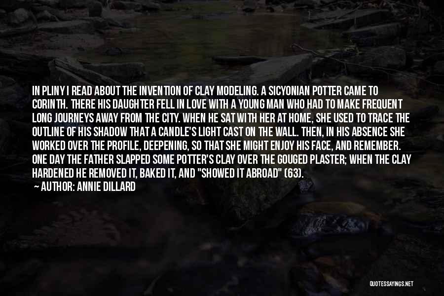Some Journeys Quotes By Annie Dillard