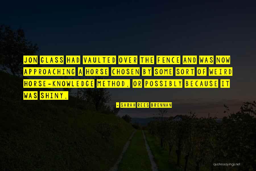 Some Knowledge Quotes By Sarah Rees Brennan Some Knowledge Quotes By Sarah Rees Brennan