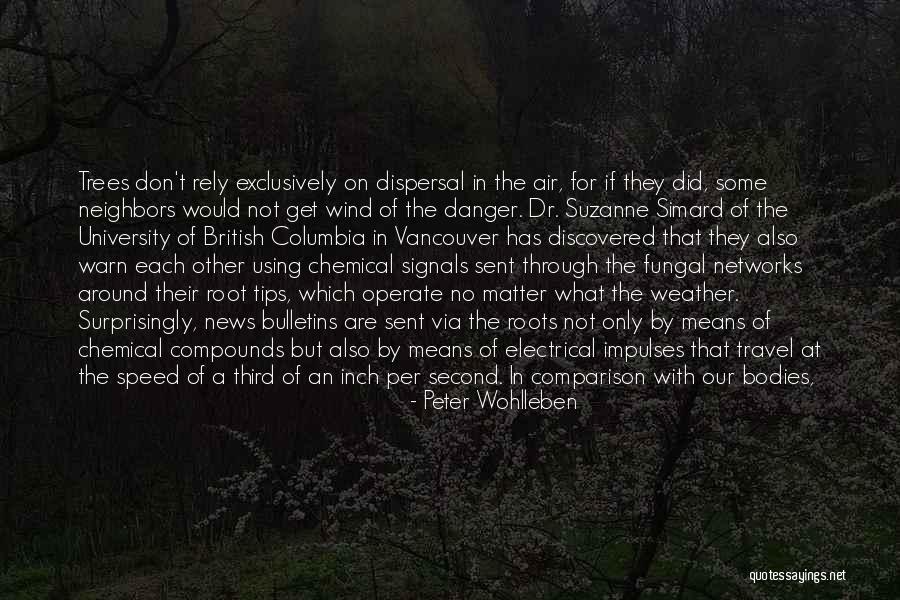 Some Latest Quotes By Peter Wohlleben Some Latest Quotes By Peter Wohlleben