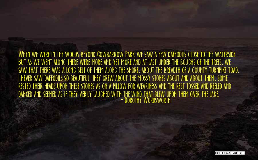 Some Laughed Quotes By Dorothy Wordsworth Some Laughed Quotes By Dorothy Wordsworth