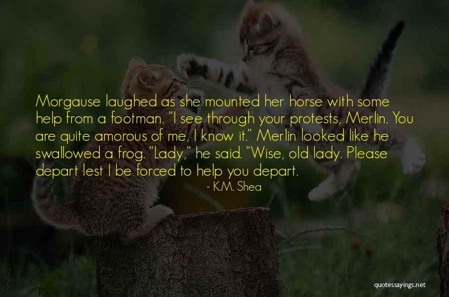 Some Laughed Quotes By K.M. Shea Some Laughed Quotes By K.M. Shea