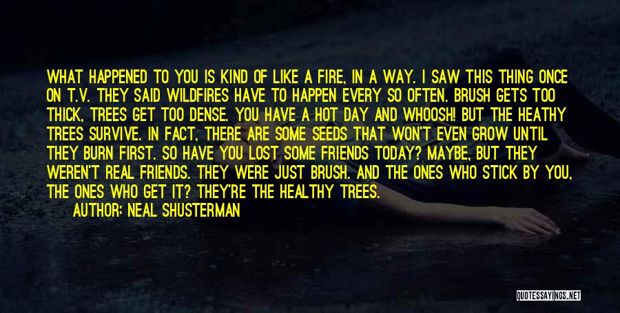 Some Like It Hot Quotes By Neal Shusterman