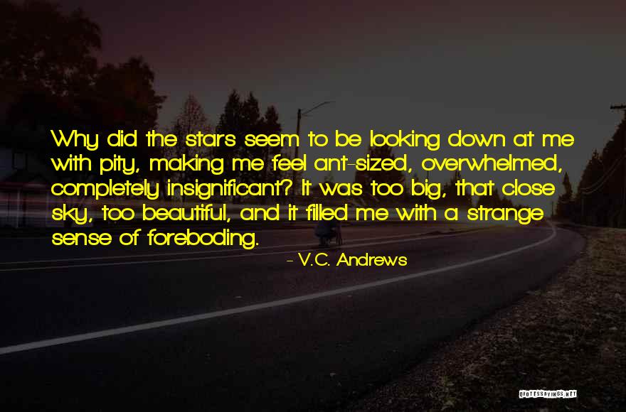 Some Of Us Are Looking At The Stars Quotes By V.C. Andrews Some Of Us Are Looking At The Stars Quotes By V.C. Andrews