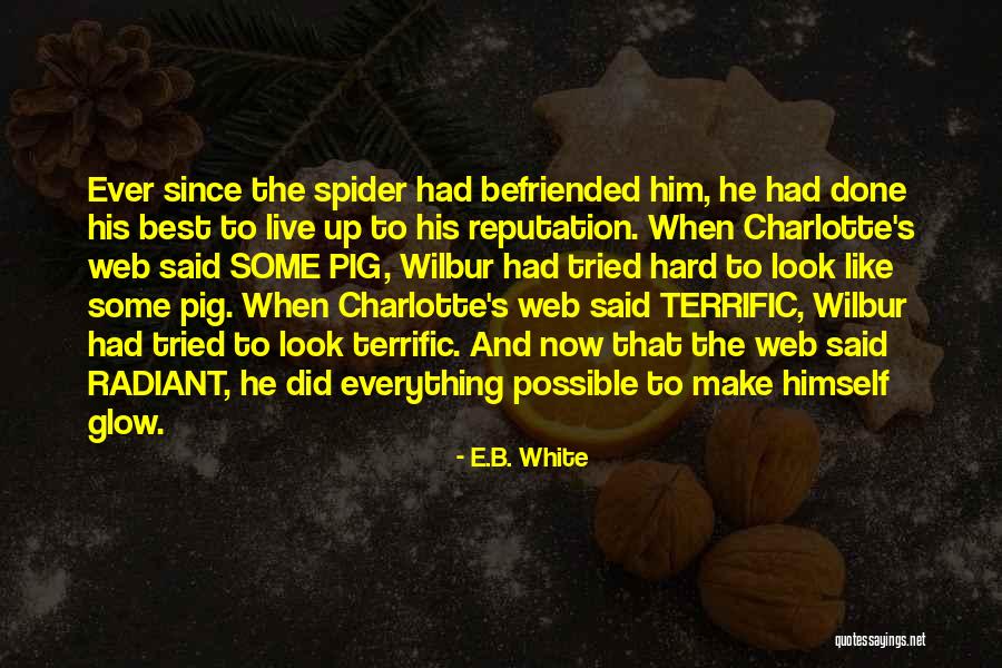 Some Pig Charlotte's Web Quotes By E.B. White Some Pig Charlotte's Web Quotes By E.B. White