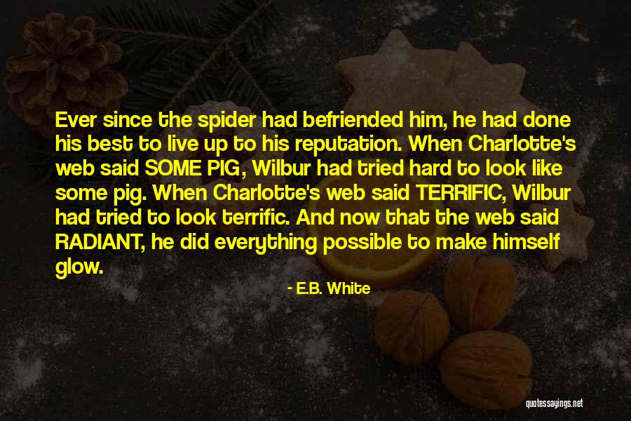 Some Pig Charlotte's Web Quotes By E.B. White