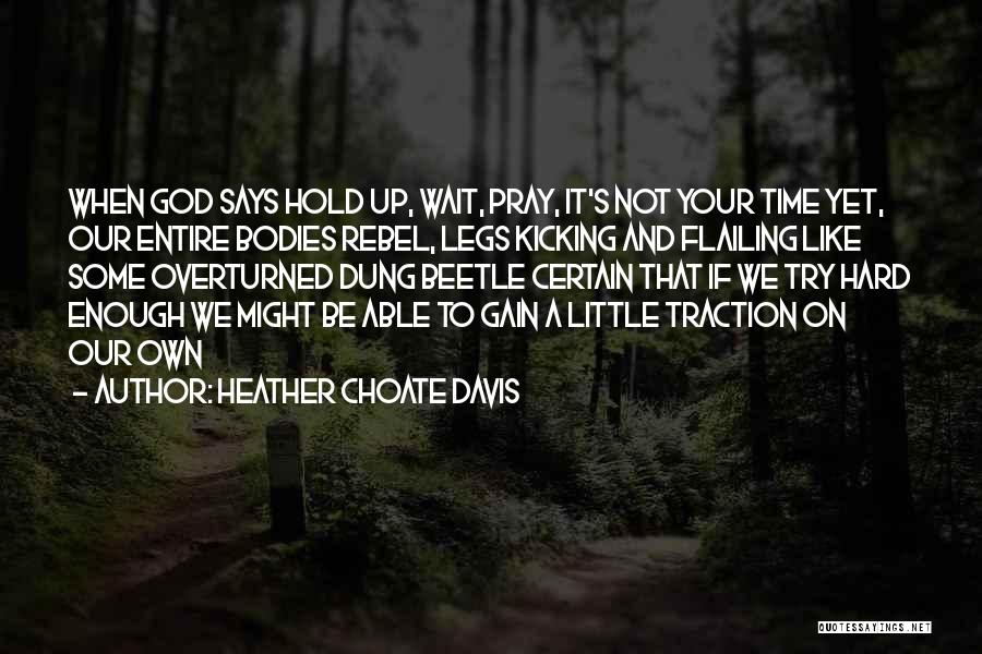 Some Pleasing Quotes By Heather Choate Davis