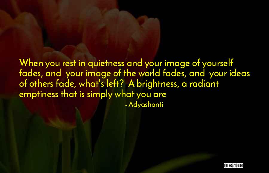 Some Quietness Quotes By Adyashanti Some Quietness Quotes By Adyashanti