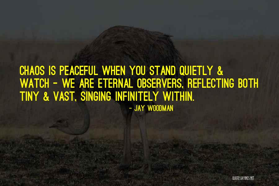 Some Quietness Quotes By Jay Woodman Some Quietness Quotes By Jay Woodman