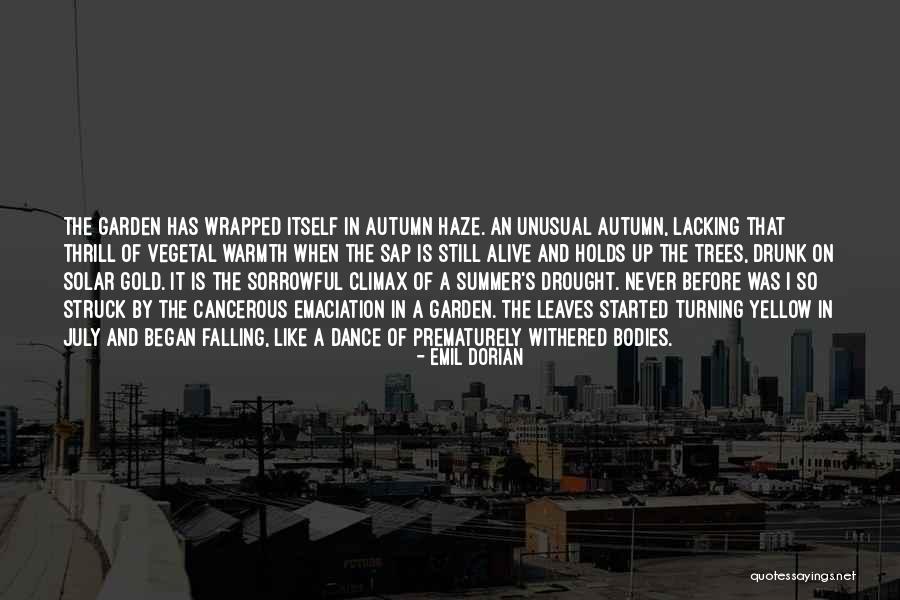 Some Sorrowful Quotes By Emil Dorian Some Sorrowful Quotes By Emil Dorian