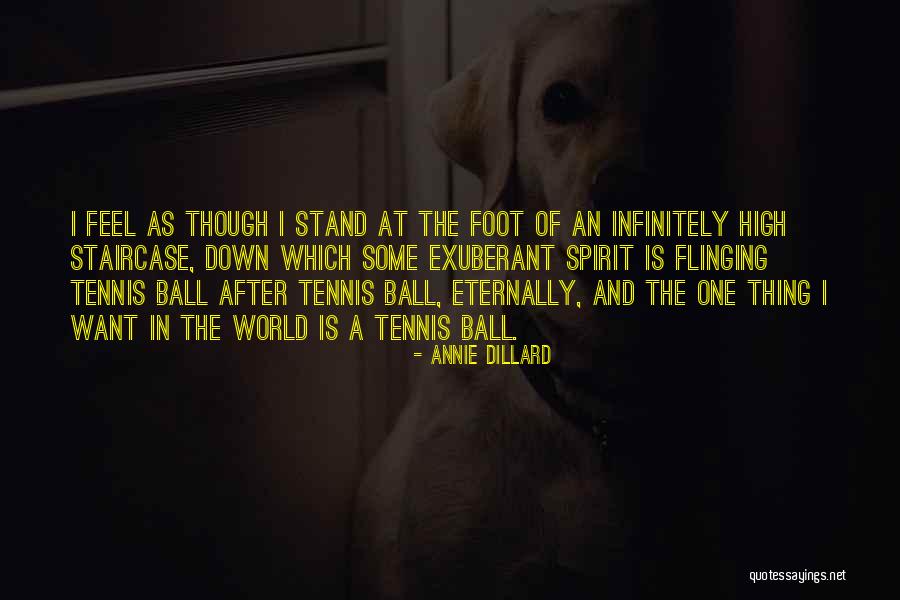 Some Tennis Quotes By Annie Dillard Some Tennis Quotes By Annie Dillard