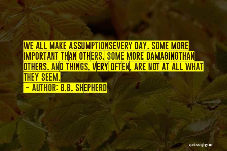 Some Things Are More Important Quotes By B.B. Shepherd